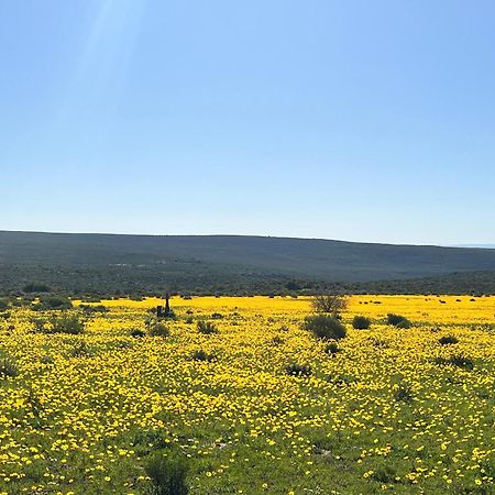 Cederberg Ridge Wilderness Lodge Clanwilliam Exterior foto