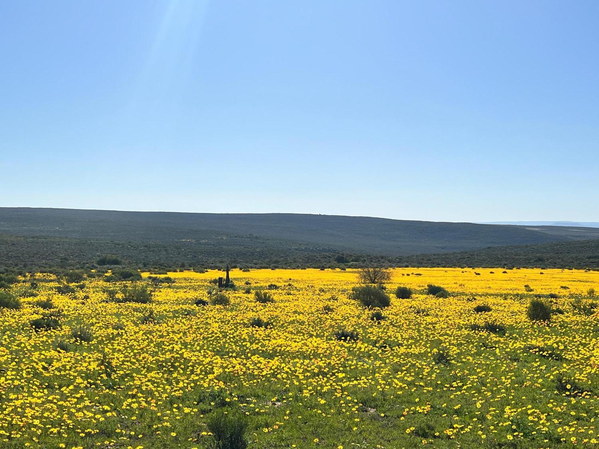 Cederberg Ridge Wilderness Lodge Clanwilliam Exterior foto