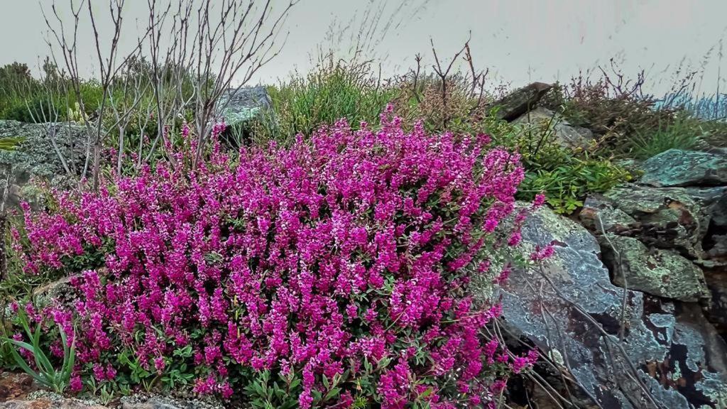 Cederberg Ridge Wilderness Lodge Clanwilliam Exterior foto